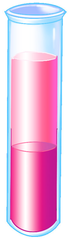 Components of blood test tube