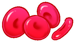 RBCs