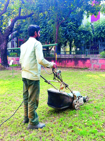 Lawn mowing