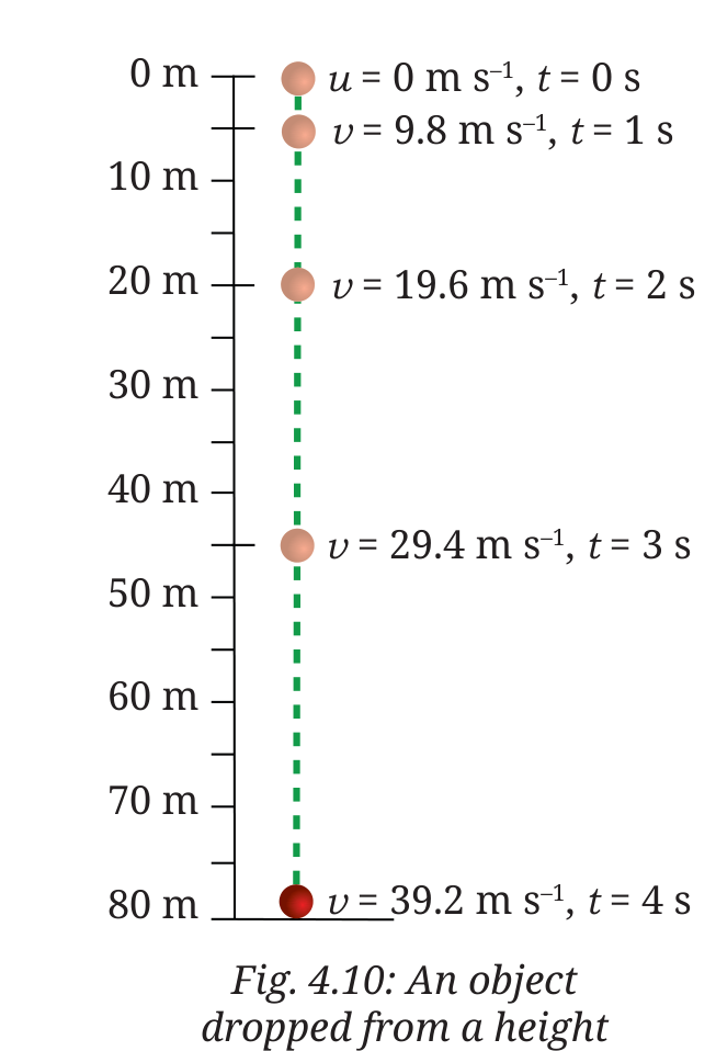 Fig 4.10: An object dropped from a height