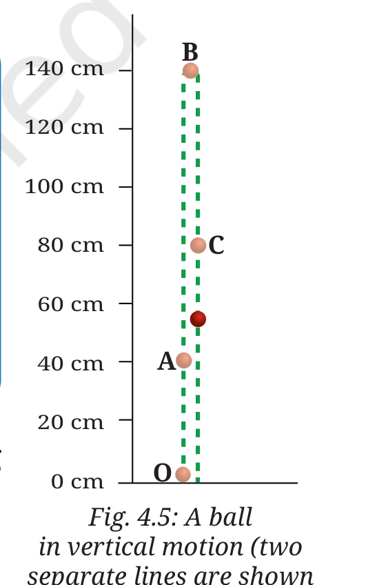 Fig 4.5: A ball in vertical motion