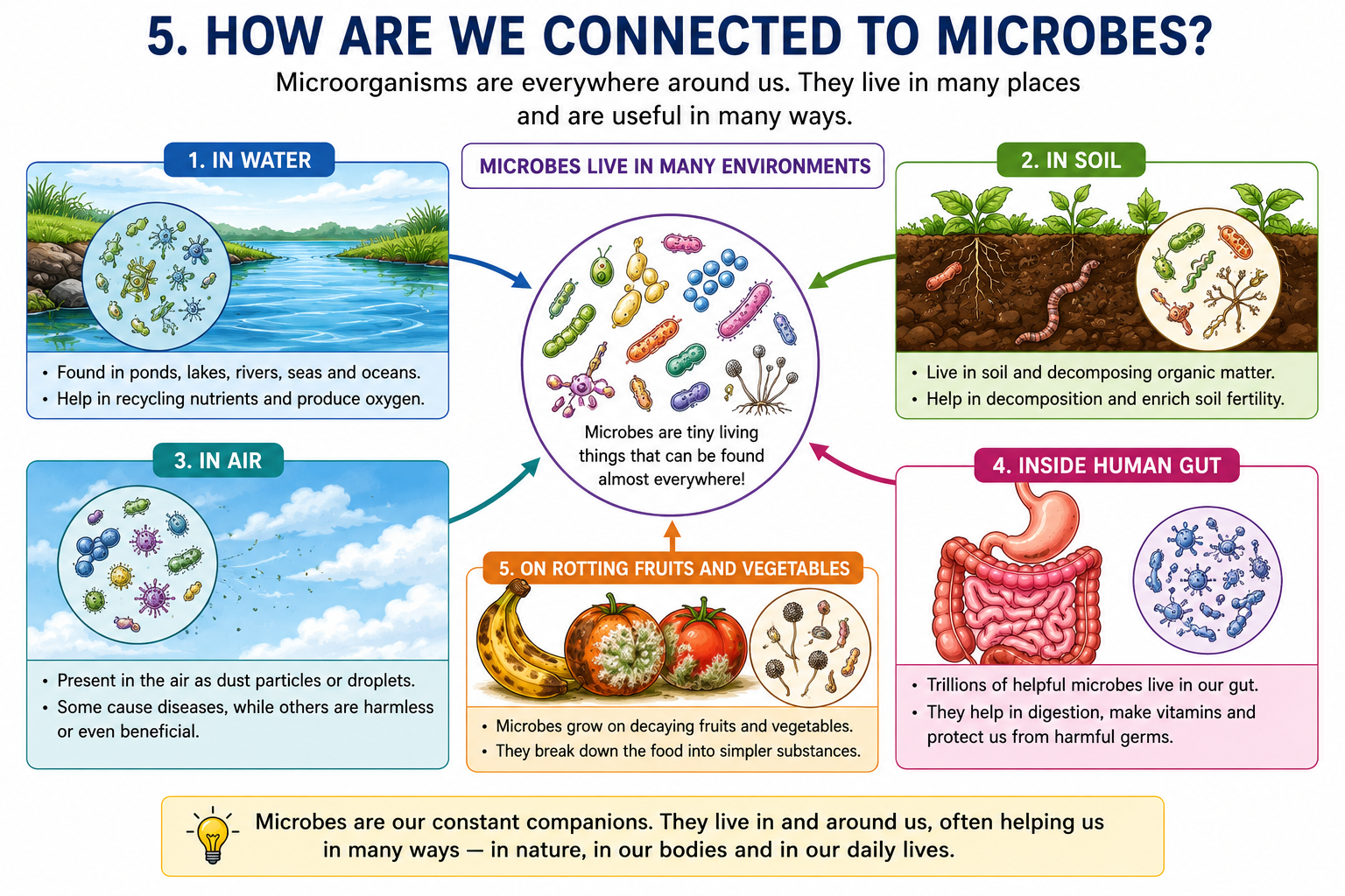 Microorganisms in different environments