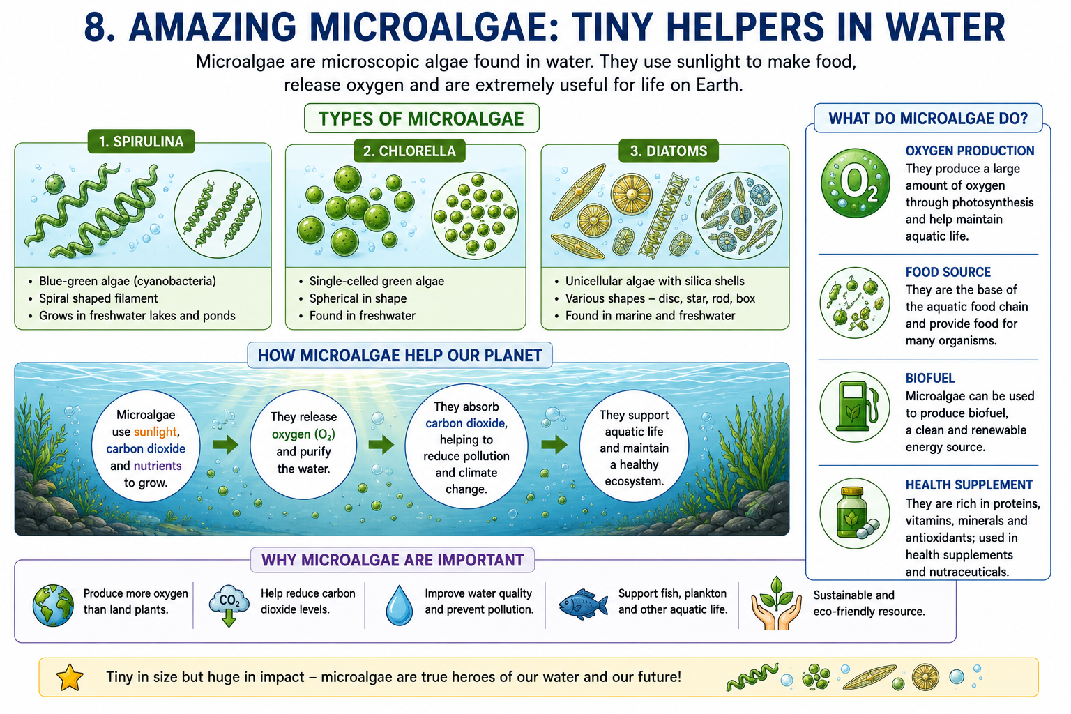 Microalgae Spirulina Chlorella Diatoms oxygen production