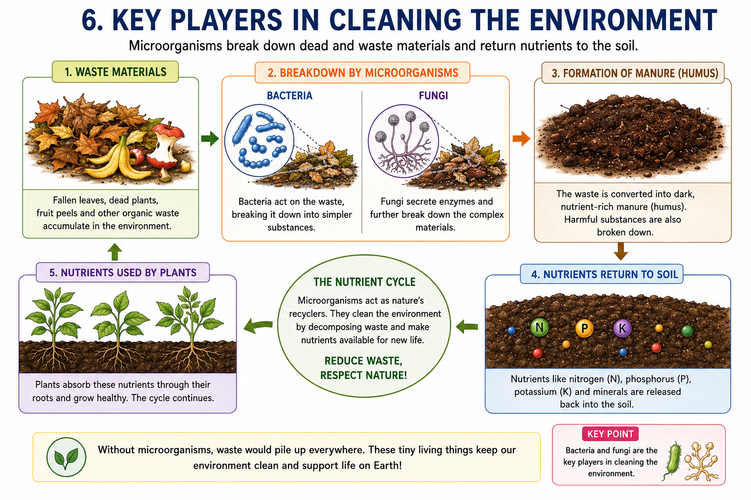 Decomposition and nutrient recycling diagram