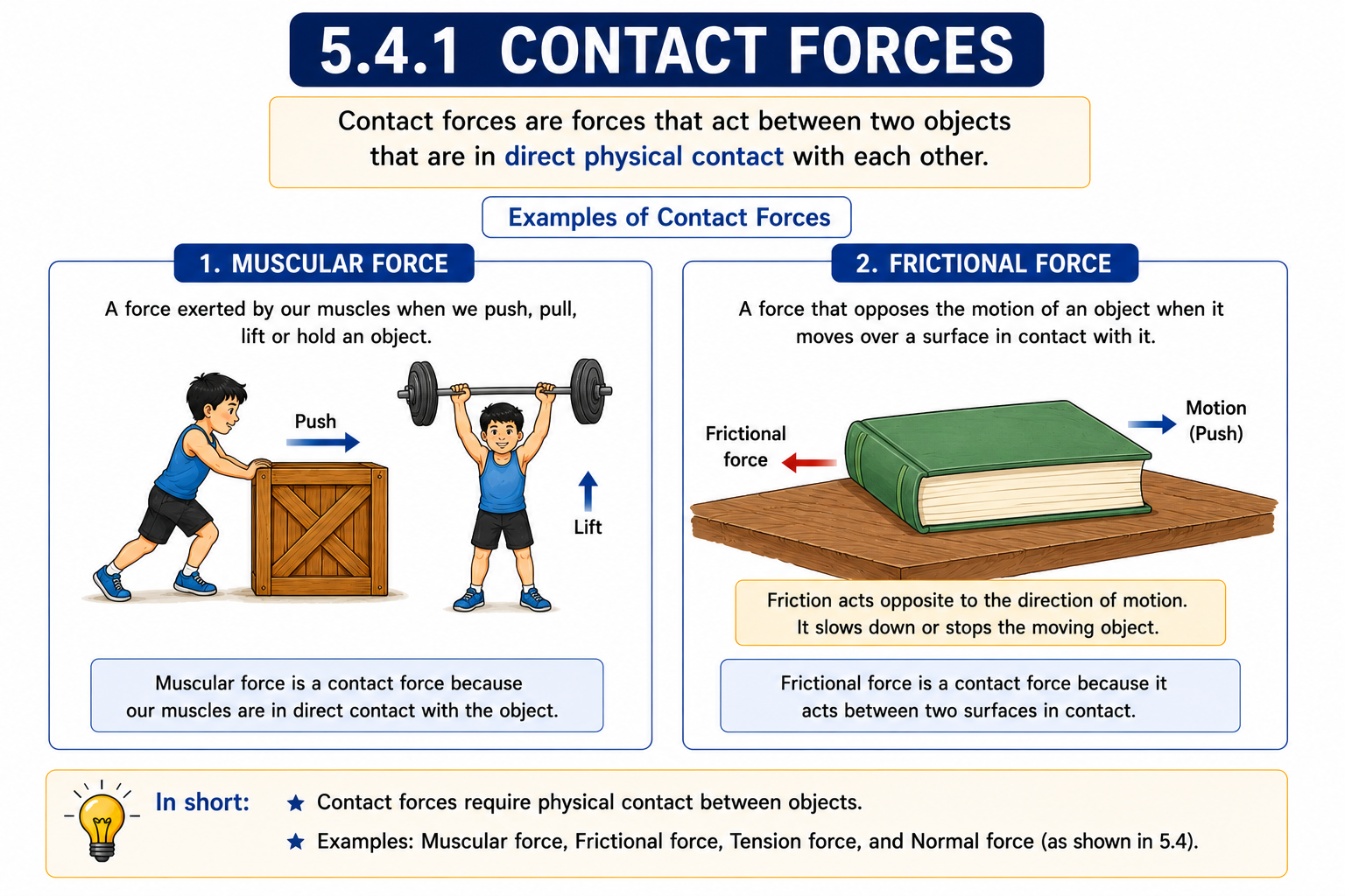 Muscular force and friction contact forces diagram