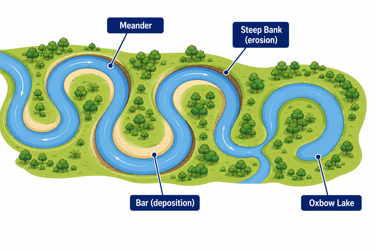 Labeled diagram of a meander with oxbow lake, steep bank and bar