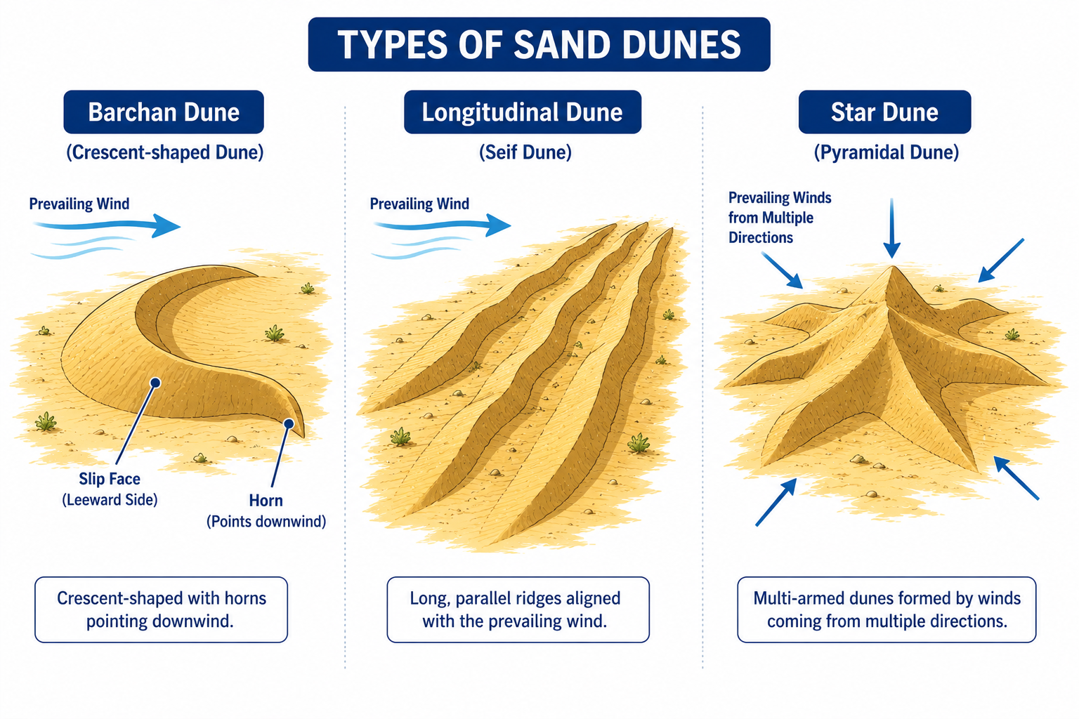 Labeled diagram of sand dune types — barchan, longitudinal and star dunes