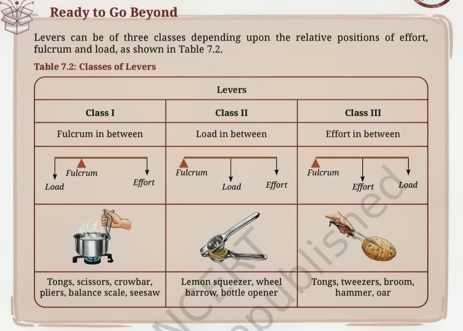 Three classes of levers - Class I, II, III