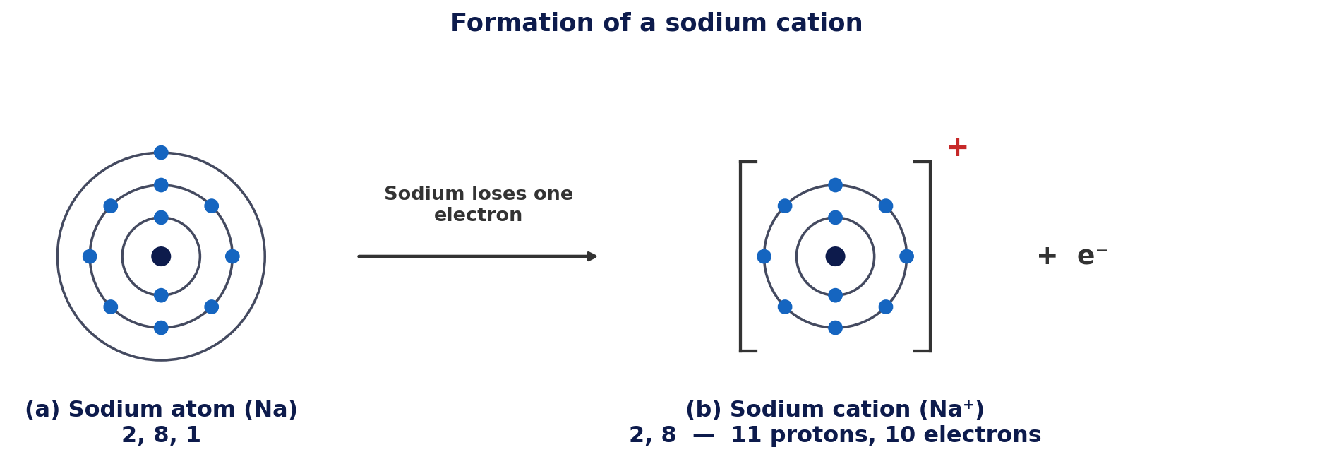 Formation of a sodium cation